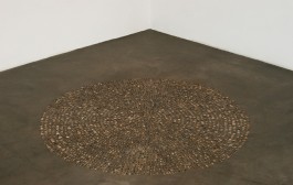 CARMELO NICOTRA